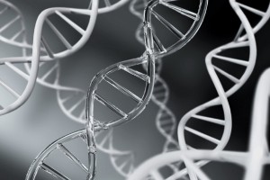 Клітинне харчування — що це та яка від нього користь? Клітинне харчування — що це та яка від нього користь?