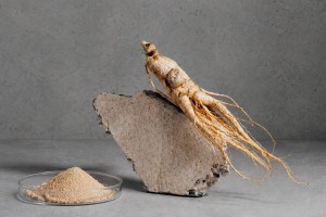 Користь женьшеню для чоловічого здоров’я та витривалості  
