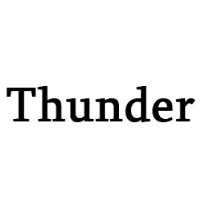 TM Thunder, Китай