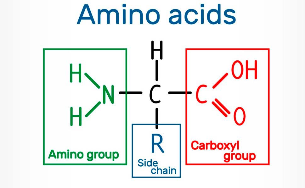 амино_это